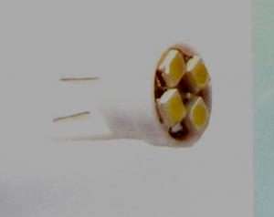 T10-WG-4SMD3528-W (2 gab.)